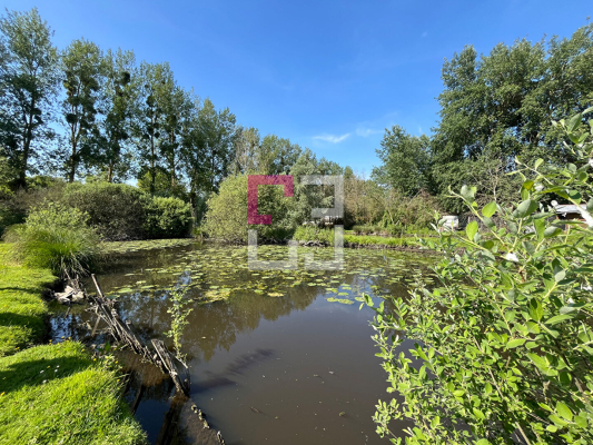 
Etang Eppeville 5970m2
