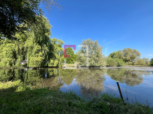
Etang Eppeville 5970m2
