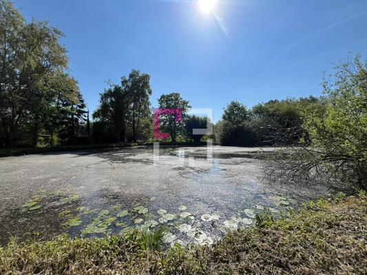 
Etang Eppeville 5970m2
