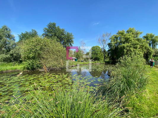 
Etang Eppeville 5970m2
