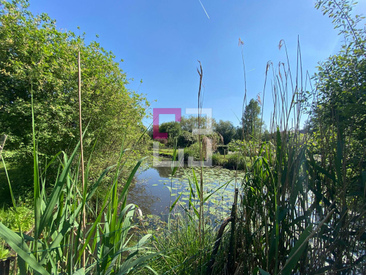 
Etang Eppeville 5970m2
