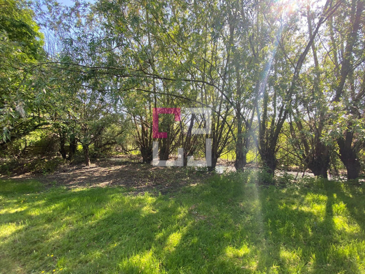 
Etang Eppeville 5970m2
