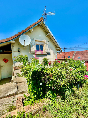 
-EXCLUSIVITE QUENTIMMO NOYON-
