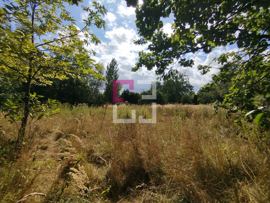 
Terrain de loisirs THENELLES 2896 m²
