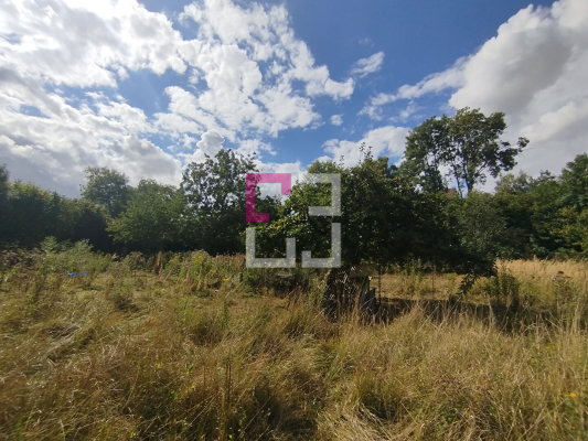 
Terrain de loisirs THENELLES 2896 m²
