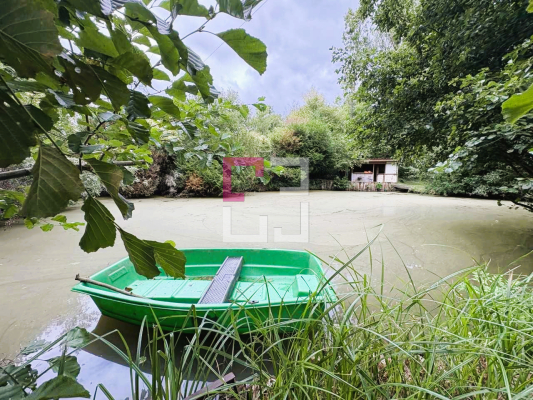 
Etang Filain
