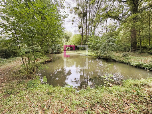 
Etang Filain
