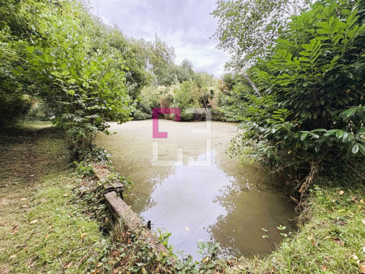 
Etang Filain
