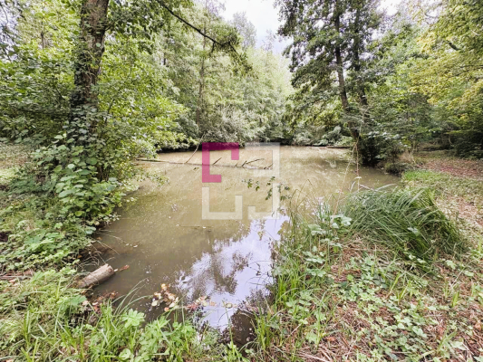 
Etang Filain
