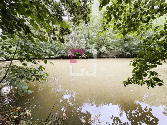 
Etang Filain
