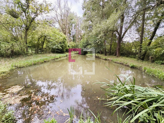 
Etang Filain
