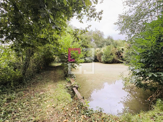 
Etang Filain
