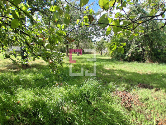 
Maison Vervins 5 pièce(s) 131.02 m2
