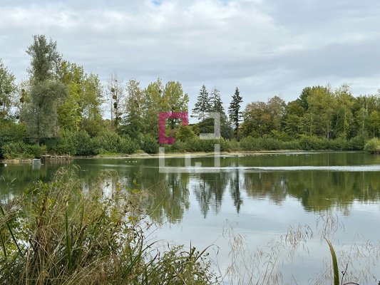 
Etang Alaincourt 36080 m2
