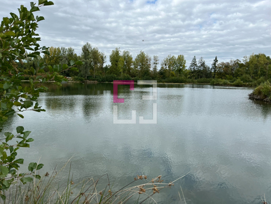 
Etang Alaincourt 36080 m2
