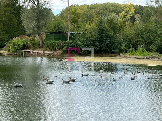 
Etang Alaincourt 36080 m2
