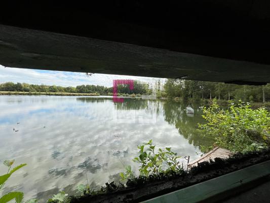 
Etang Alaincourt 36080 m2
