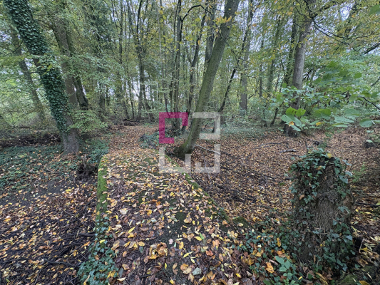 
Maison Moy De L Aisne 6 pièce(s) 141 m2
