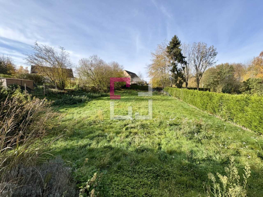 
Maison Molinchart 4 pièce(s) 80m2
