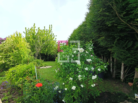 
SEBONCOURT (02110)
