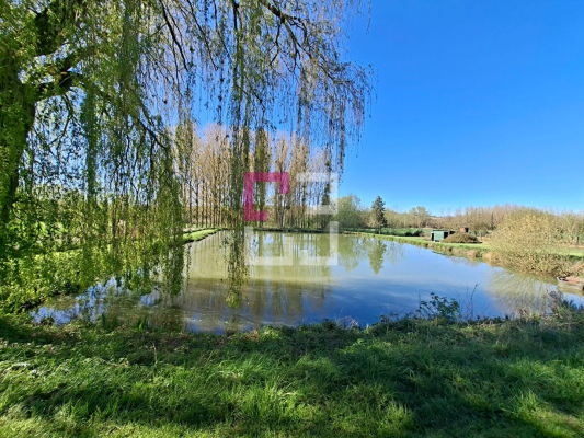 
Etang Rogny
