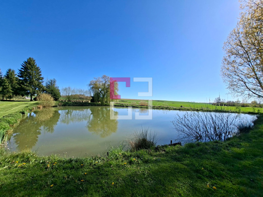
Etang Rogny

