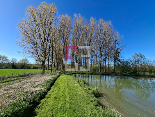
Etang Rogny
