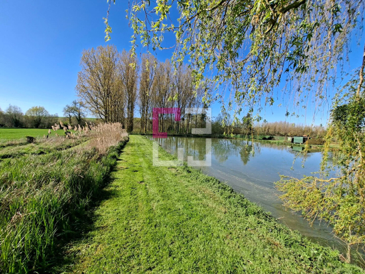 
Etang Rogny
