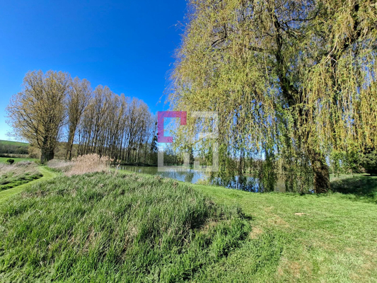
Etang Rogny

