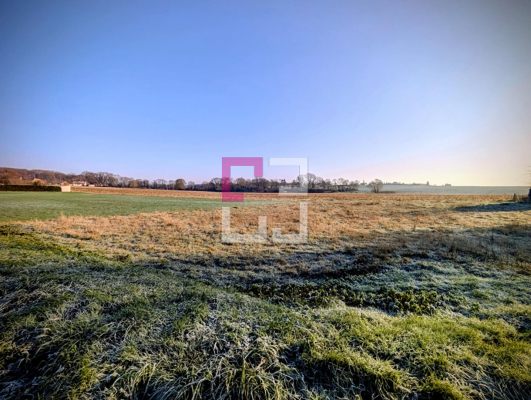 
Terrain Sermaize 1000 m2

