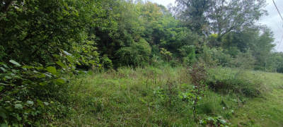 
Terrain BRISSY HAMEGICOURT 1321 m²
