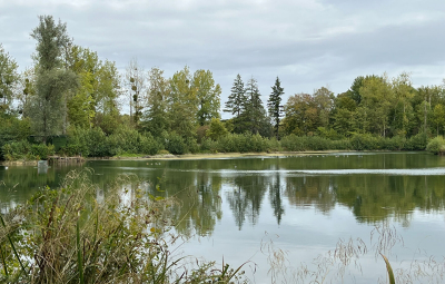 
Etang Alaincourt 36080 m2
