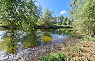 
Etang Pierrepont 4872 m2
