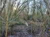 
Terrain Mezieres Sur Oise 17365 m2
