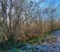 
Terrain Mezieres Sur Oise 17365 m2
