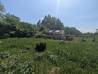 
Terrain Chiry Ourscamp 893 m2

