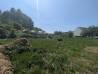 
Terrain Chiry Ourscamp 893 m2
