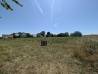 
Terrain Mondescourt 1646 m2
