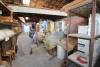 
Immeuble Noyon 7 pièce(s)
