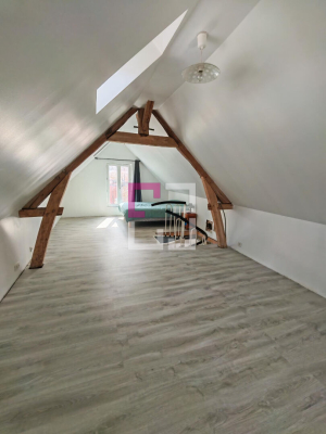 
EN EXCLUSIVITE A VERSIGNY REF 5494LR
