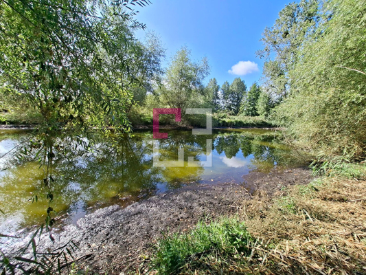 
Etang Pierrepont 4872 m2
