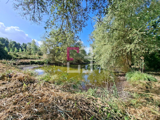 
Etang Pierrepont 4872 m2

