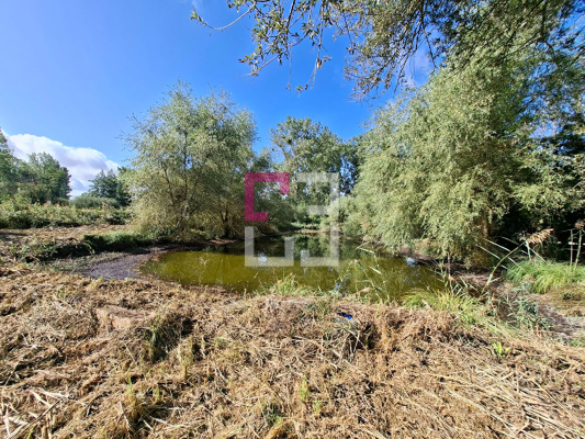 
Etang Pierrepont 4872 m2
