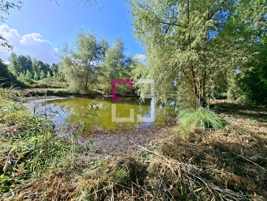 
Etang Pierrepont 4872 m2
