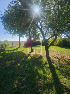 
Maison Monceau Le Neuf Et Faucou 4 pièce(s) 139 m2
